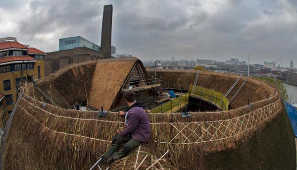 Kit Davis & Co repairing and rethatching the Globe Theatre, London